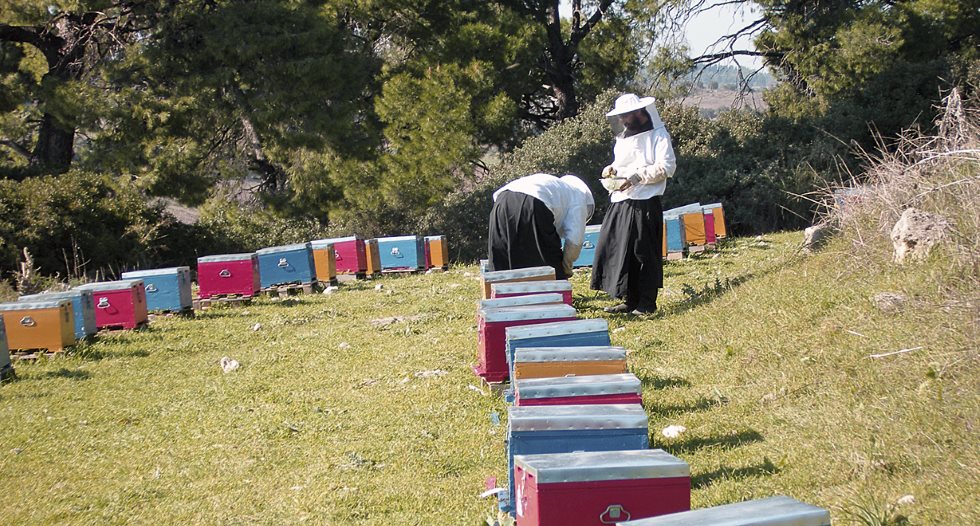 Μοναστηριακό μέλι, ένας διατροφικός θησαυρός!